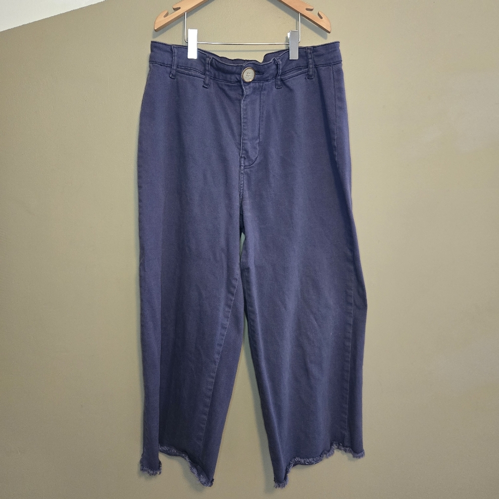 Time & Tru Women's Blue-Purple Jeans Cropped Wide Leg Size 8 Pockets Frayed
